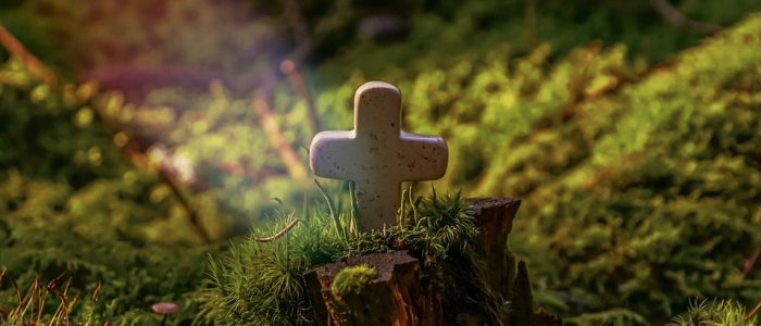 Todos los Santos_Cruz suelo